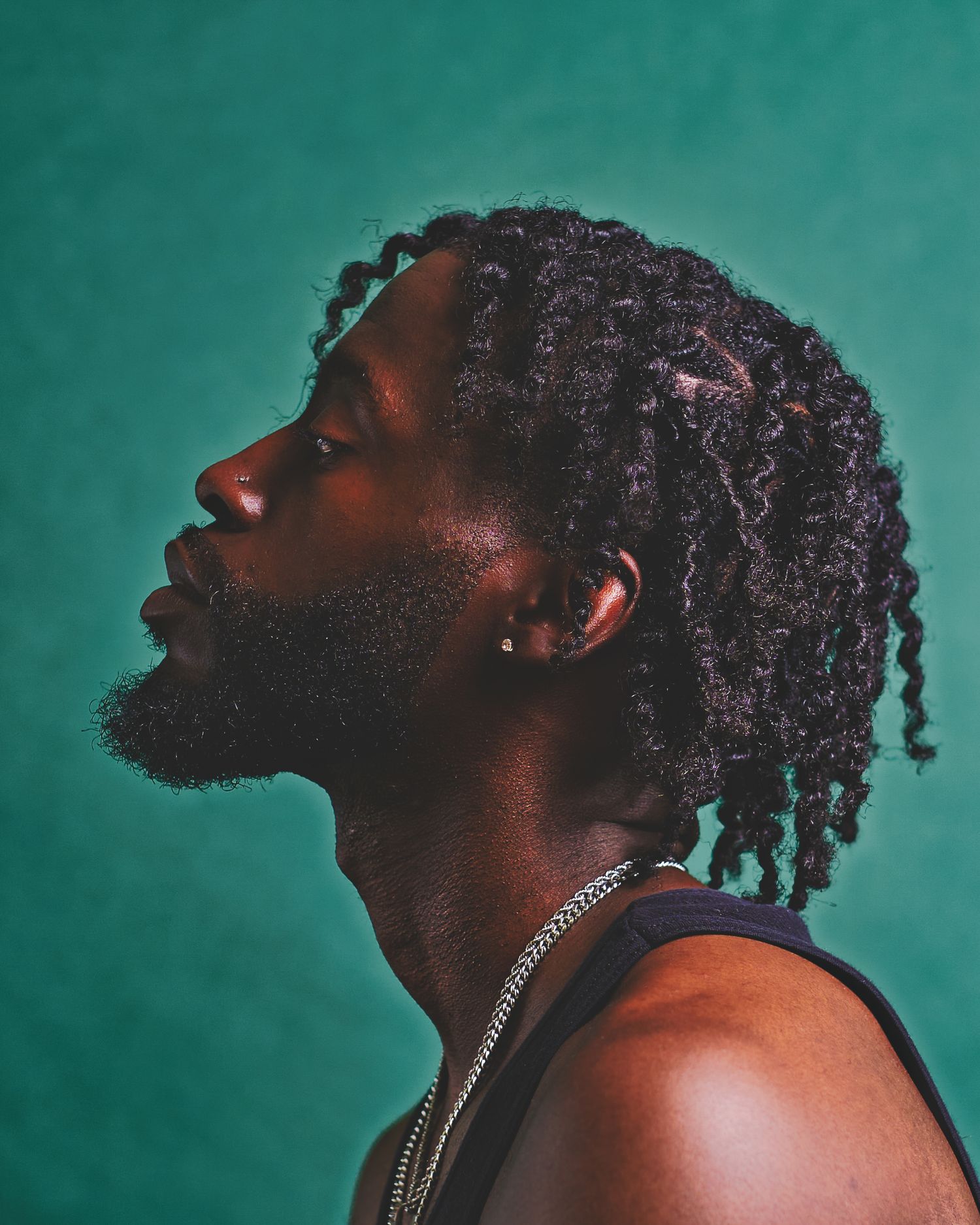 Profile portrait against teal background showcasing detailed braided hairstyle.