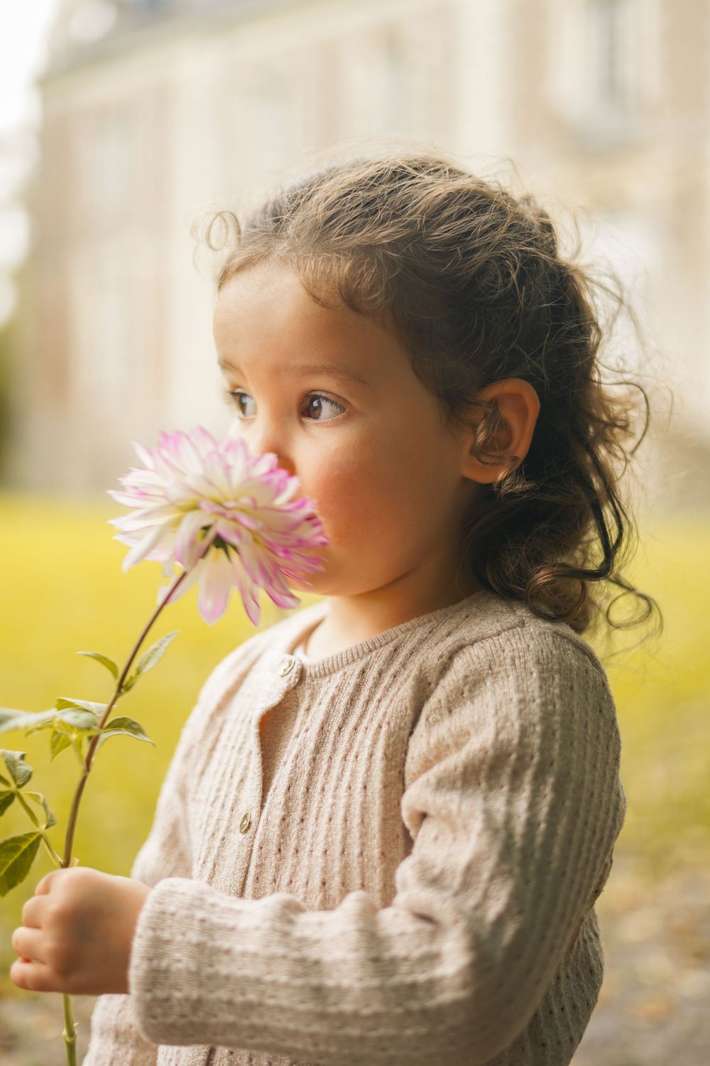 Young child in sweater smelling pink flower in autumn garden.