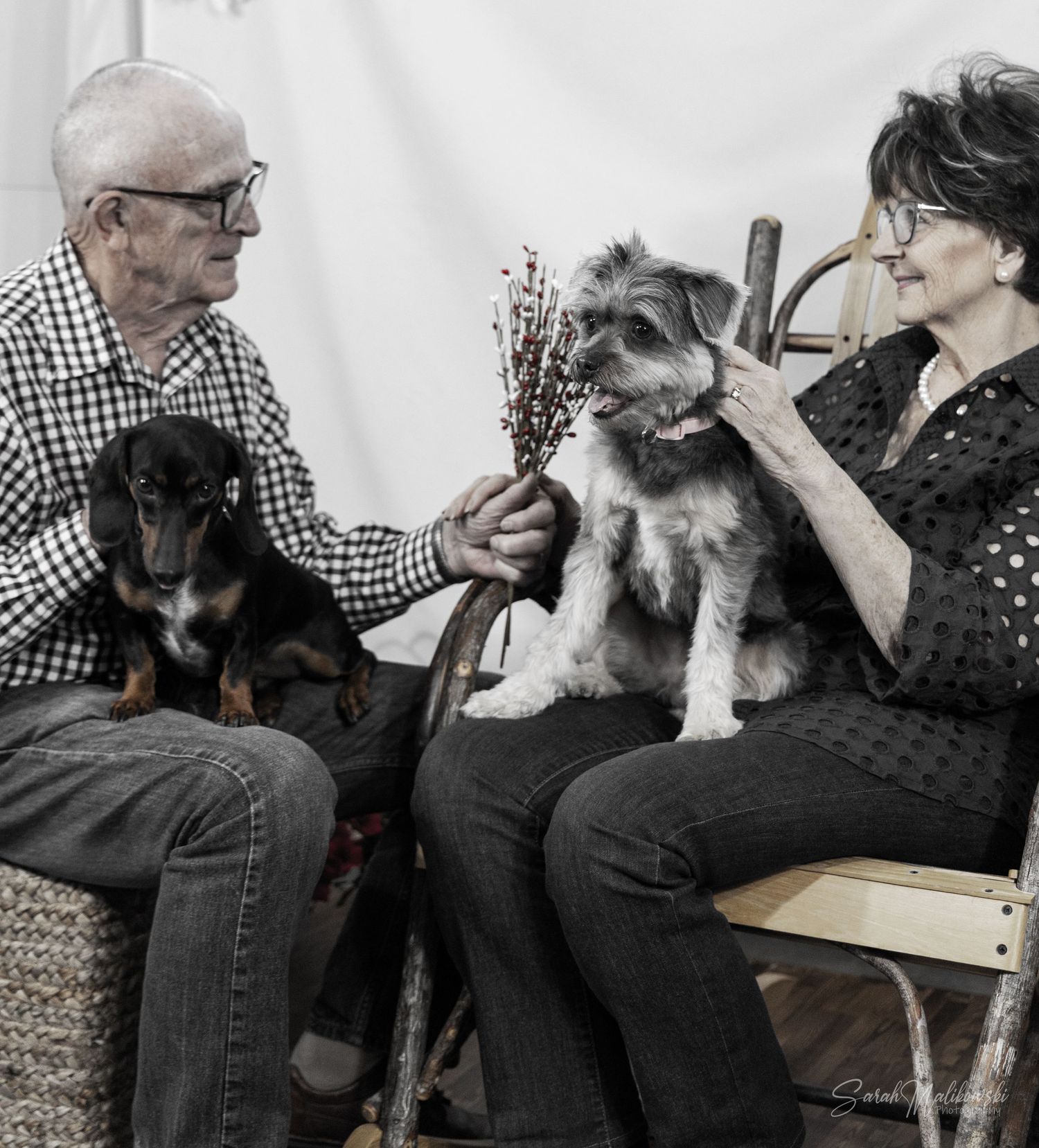 Senior couple cuddling with their small dog while relaxing on furniture.