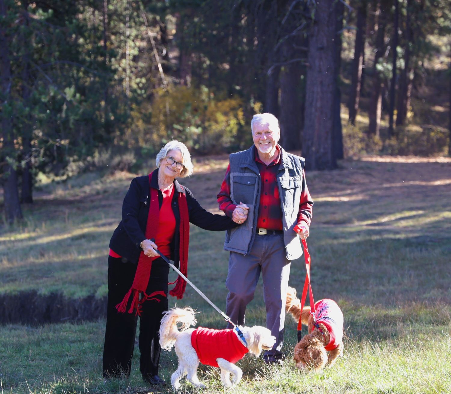 Elderly couple walking two small dogs dressed in red sweaters in a sunny pine tree park.