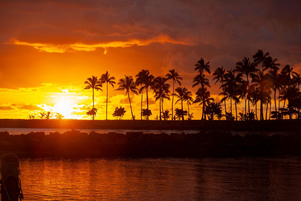 dramatic orange and yellow sunset with palm tree silhouettes over Magic Island Beach Park from across Ala Wai Boat Harbor, Waikiki, Oahu