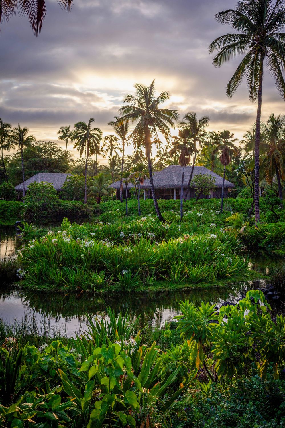 morning sunrise view from our hale lanai overlooking the lagoon in the Kona Village resort on the big island of Hawaii