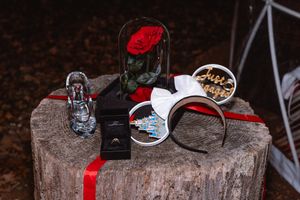 Disney-themed proposal setup with rose, Mickey ears, and decorative items on wooden stump.