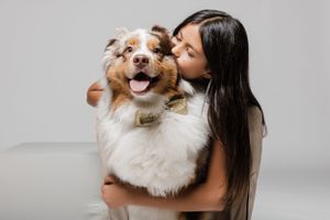 Person cuddling with happy Australian Shepherd dog against grey background.
