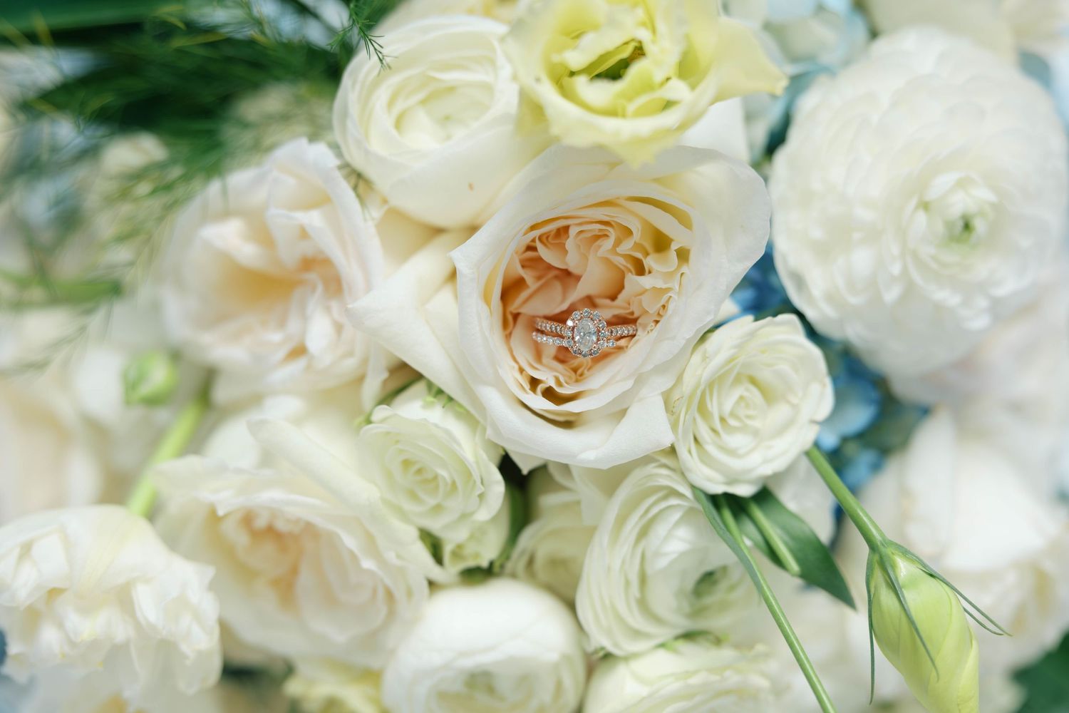 Close-up of wedding rings nestled in a white rose bridal bouquet with lush cream and ivory flowers.