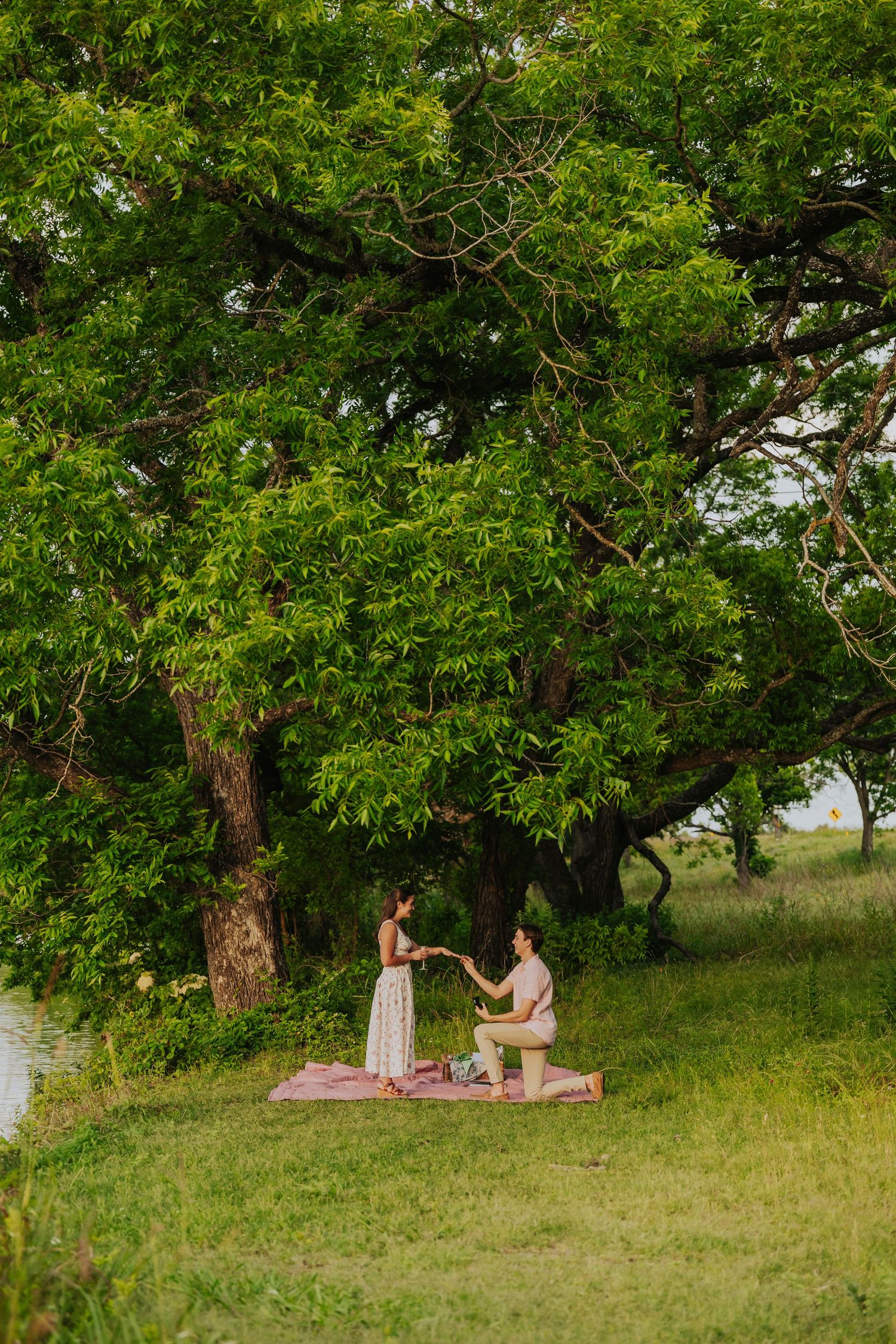 Proposal photographer in Fredericksburg, Texas