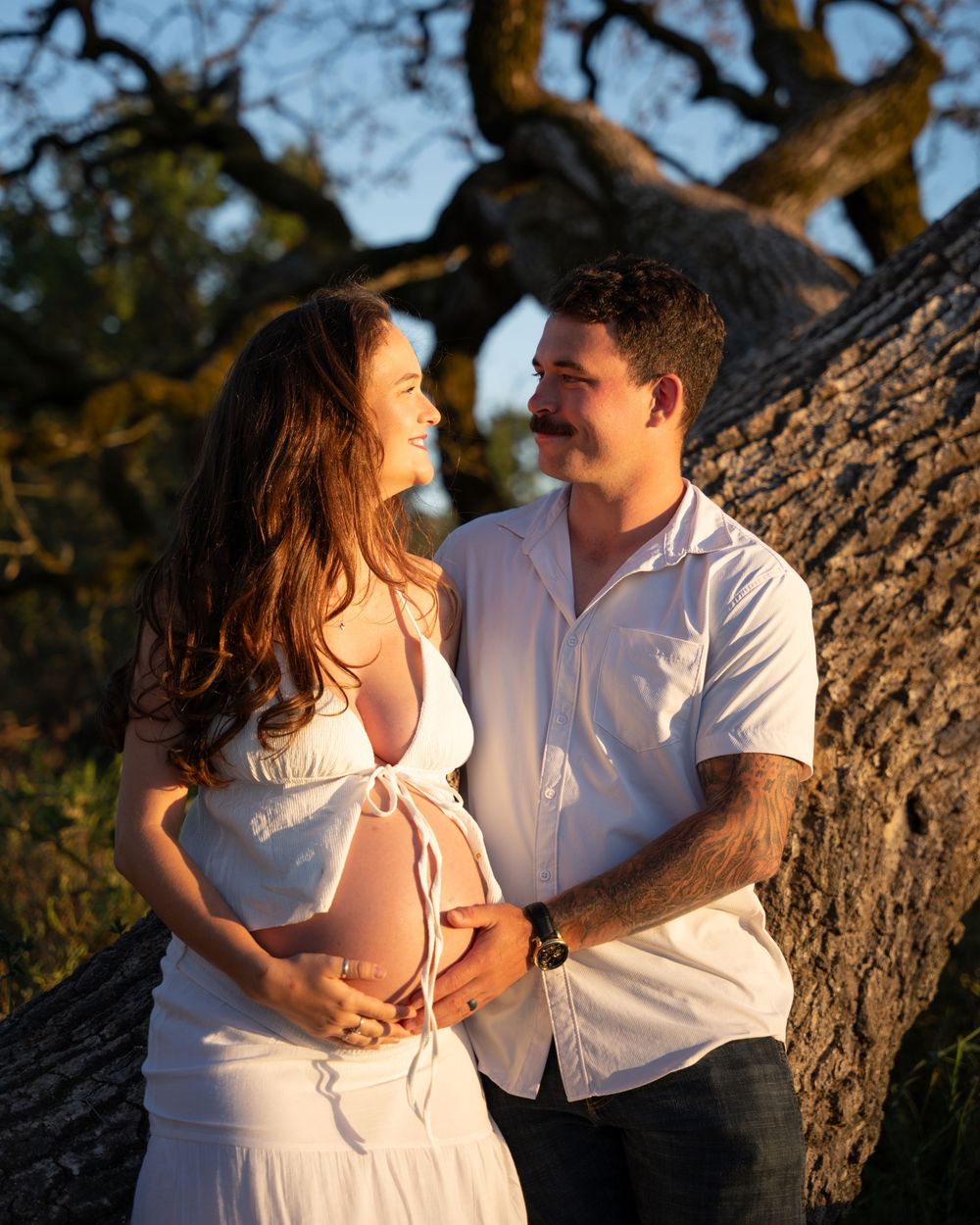 Expectant couple embracing by oak tree at golden hour, man cradling pregnant womans belly.