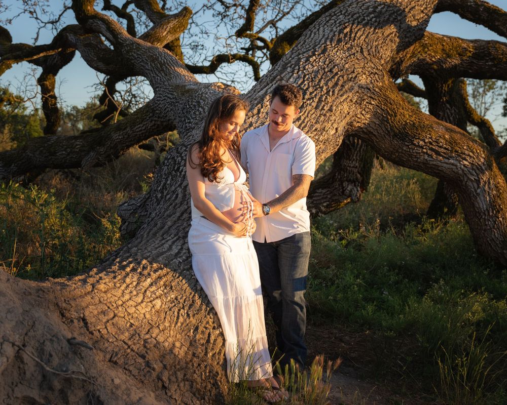Pregnant couple embracing by a large oak tree at golden hour, woman in white dress cradling baby bump.