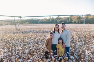 A family portrait taken in a vast cotton field during golden hour.