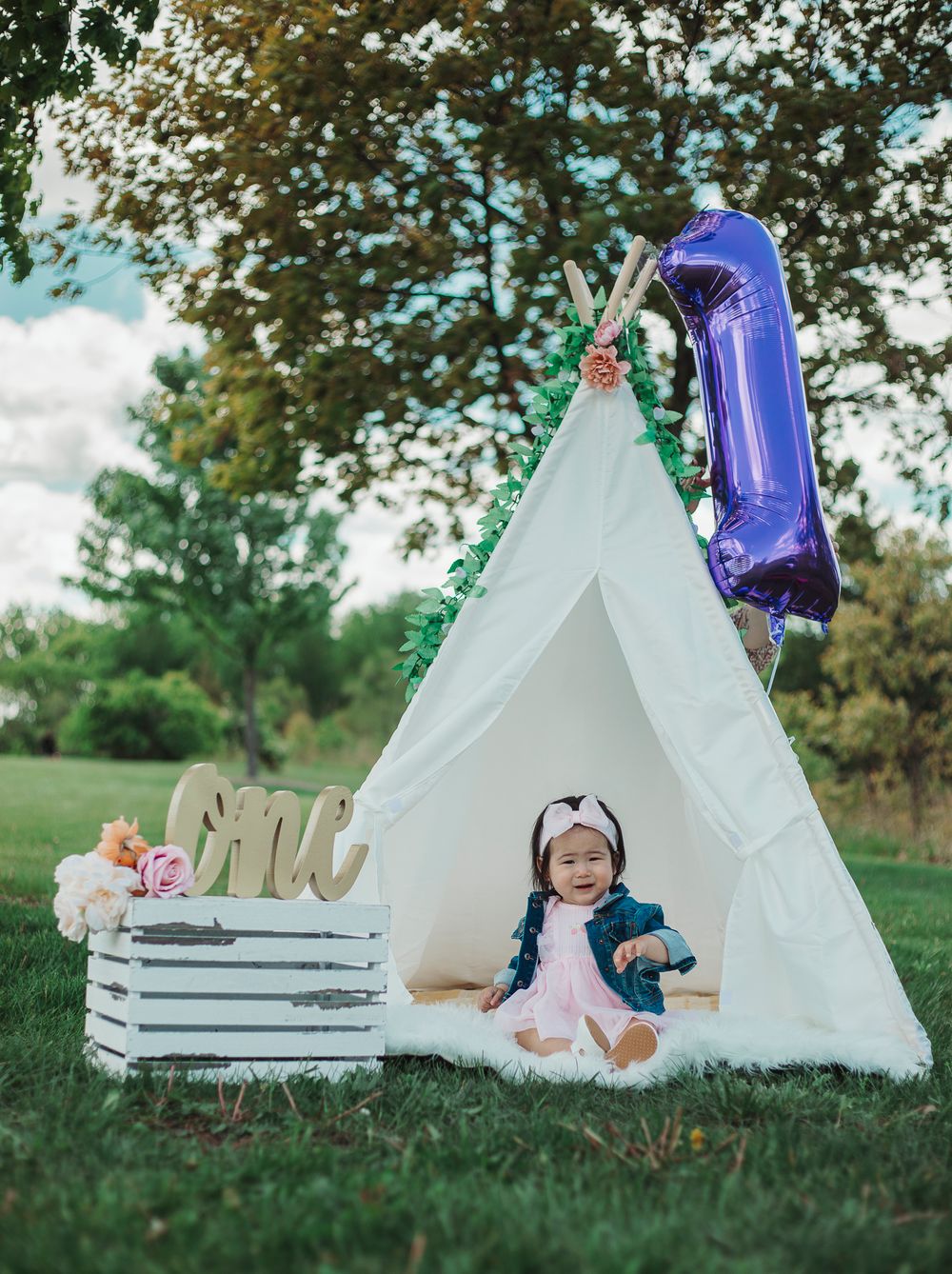 outdoor baby photo shoot, first birthday tent photoshoot, outdoor cake smash photo shoot, photographer in schaumburg