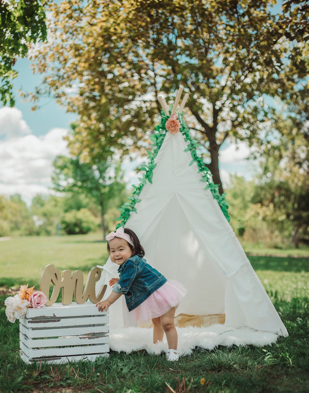 outdoor baby photo shoot, first birthday tent photoshoot, outdoor cake smash photo shoot, photographer in schaumburg
