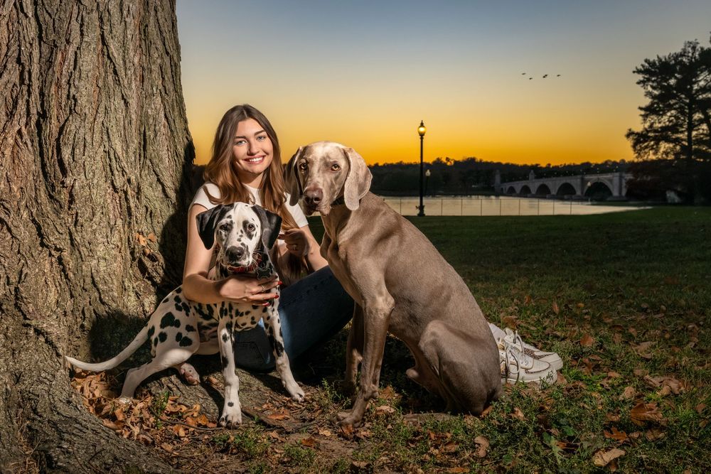 A series of outdoor photos showing people and dogs posing together at sunset in a natural setting.