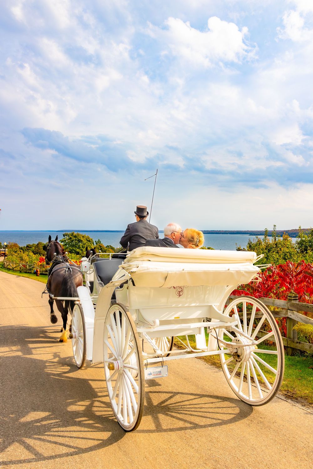 White horse-drawn carriage with red flowers parked along scenic coastal path on a sunny day.