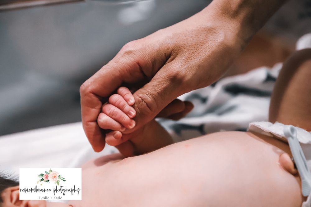 Fresh 48 newborn photos