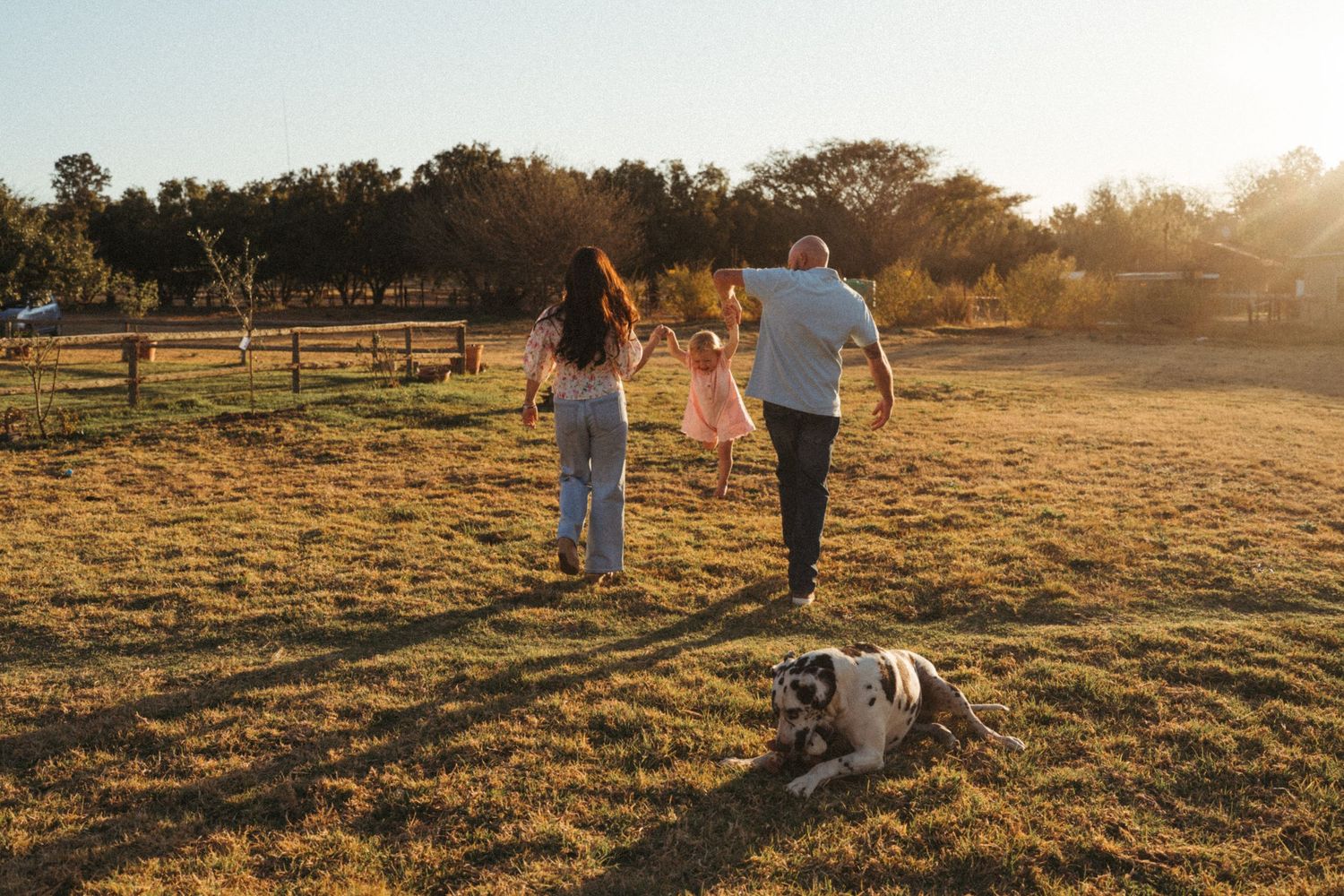Family walking together in a golden field at sunset with long shadows cast across the grass.
