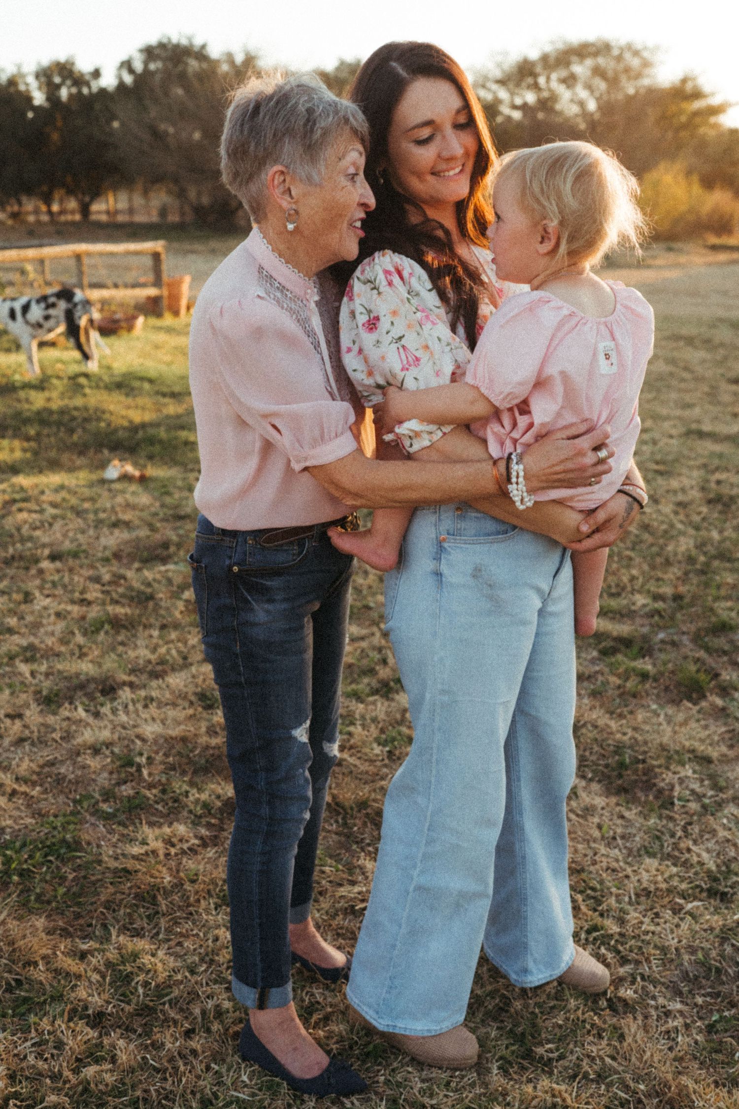 Family members share tender embraces in a grassy field at sunset.