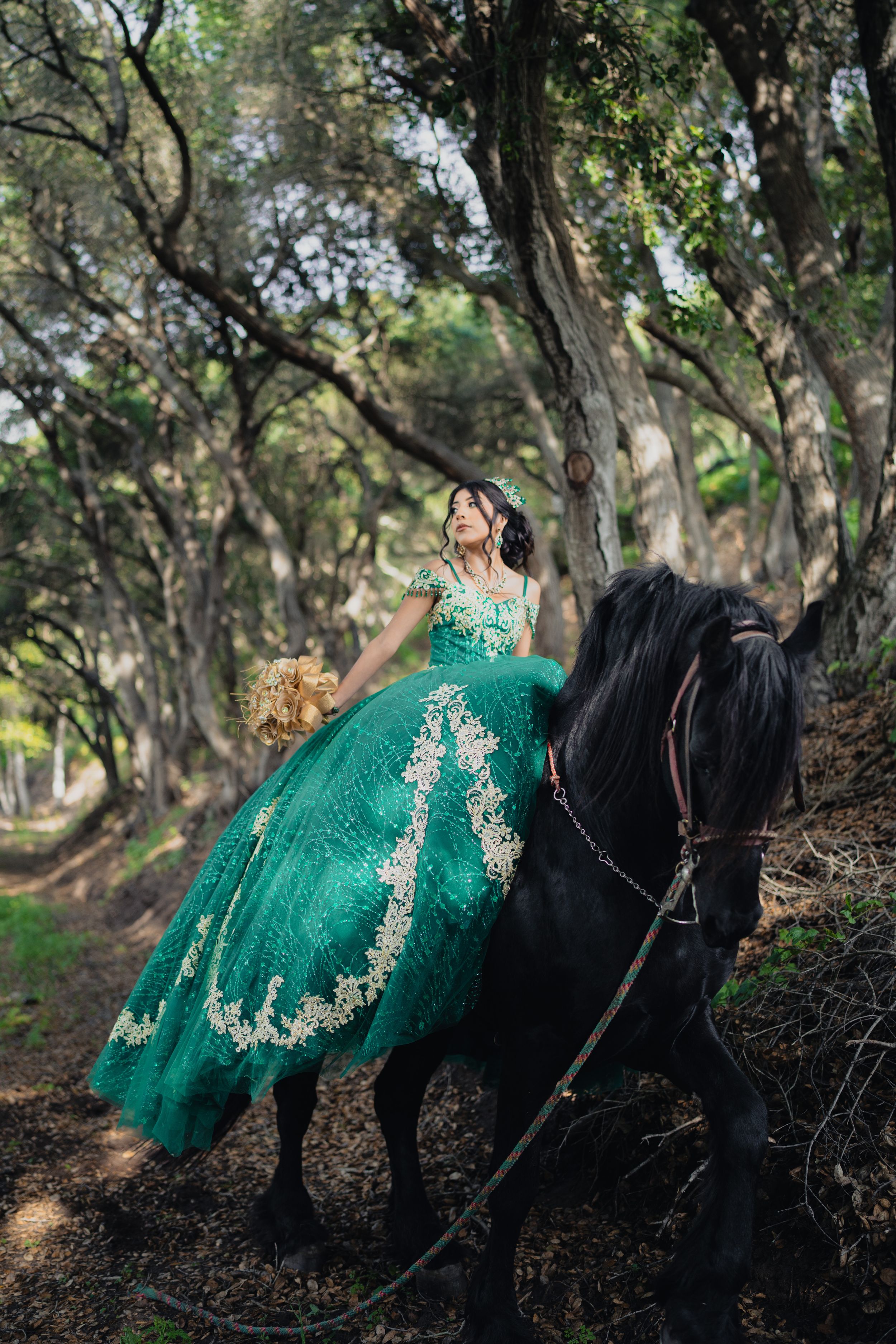 A stunning emerald green gown adorns a majestic black horse in a enchanting forest setting.