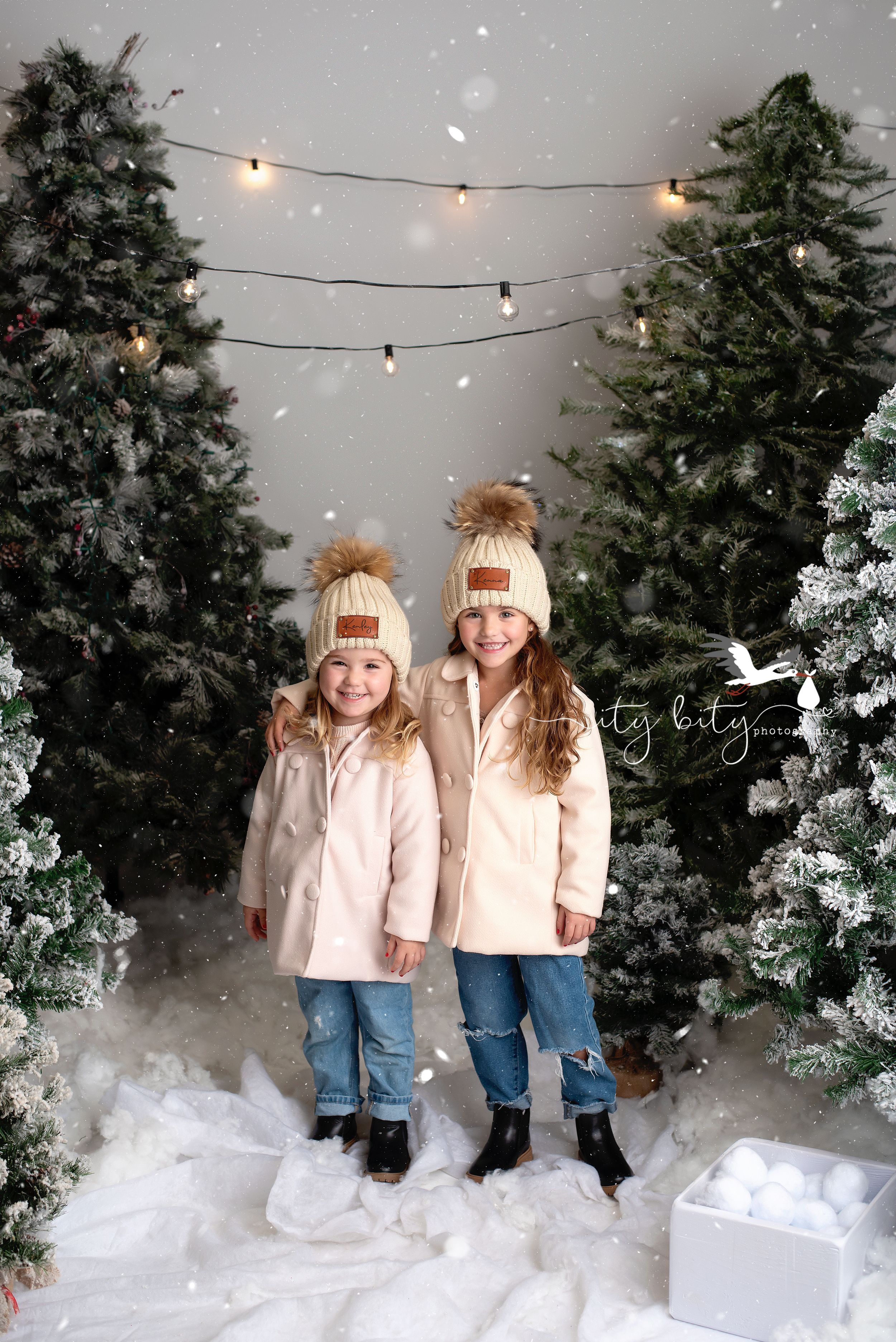 Amherst Christmas Mini Session Ity Bity Photography Family Photos