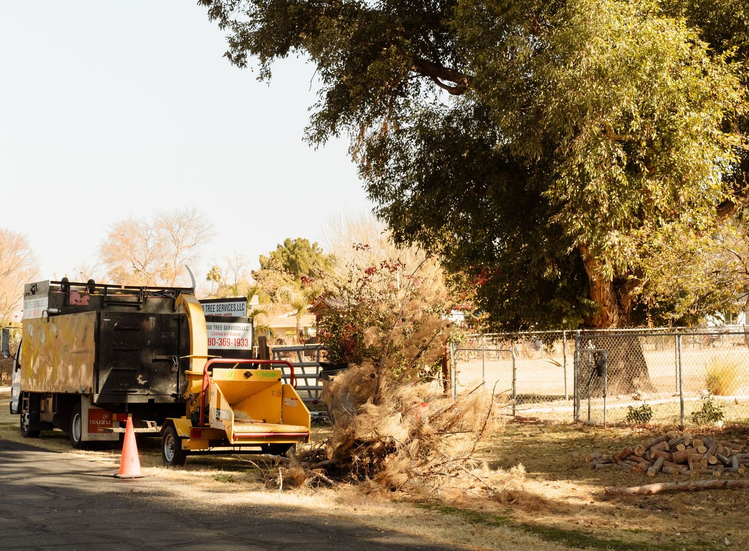1350 Tree Services photoshoot brand photos