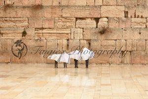 Rainy day at the Western Wall
jerusalem photographer
israel photographer