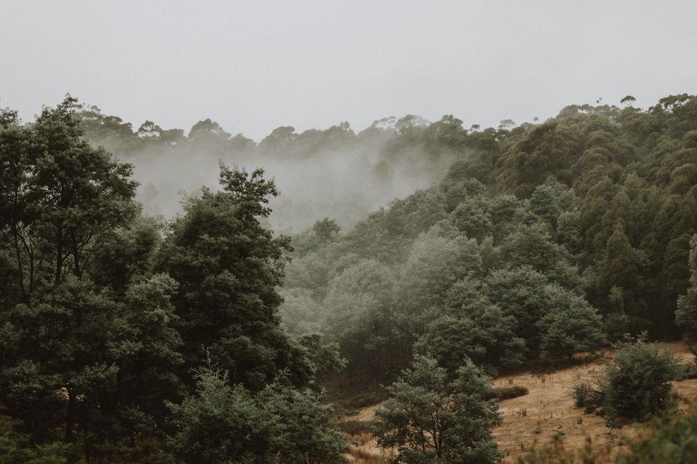 cradle mountain air bnb photographer joss jensen photography tasmania