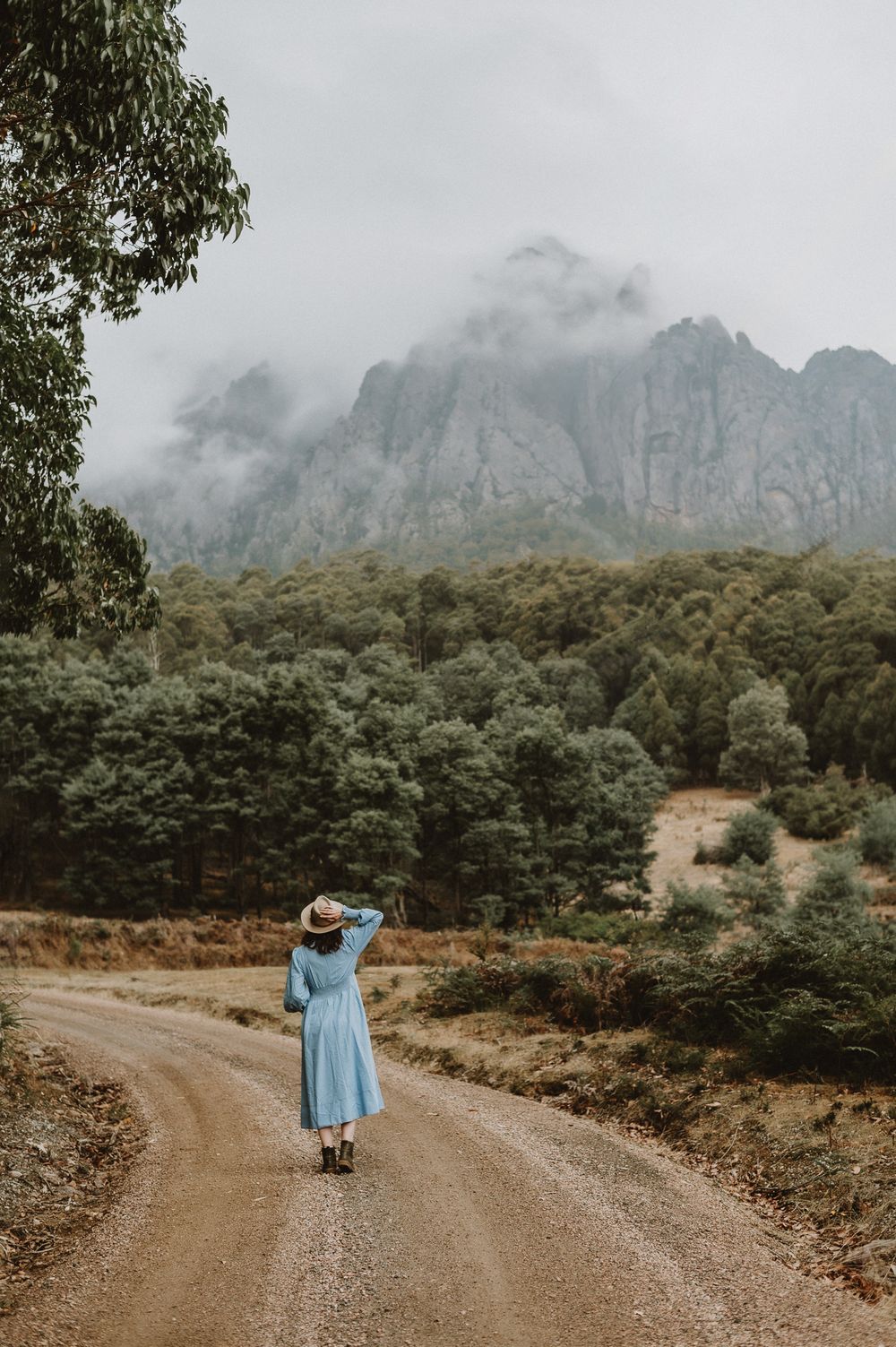 cradle mountain air bnb photographer joss jensen photography tasmania