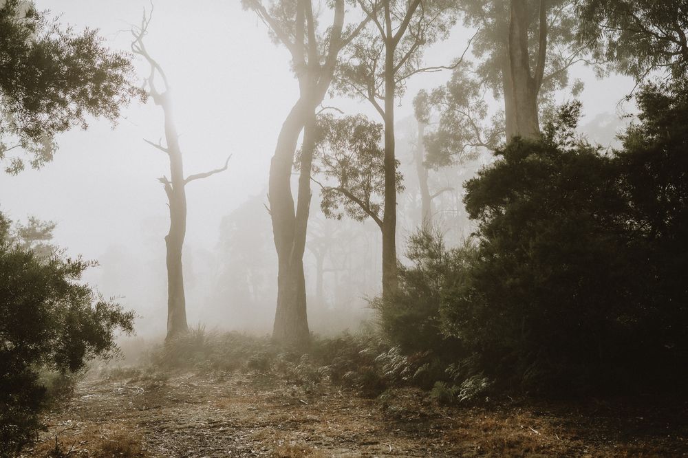 cradle mountain air bnb photographer joss jensen photography tasmania