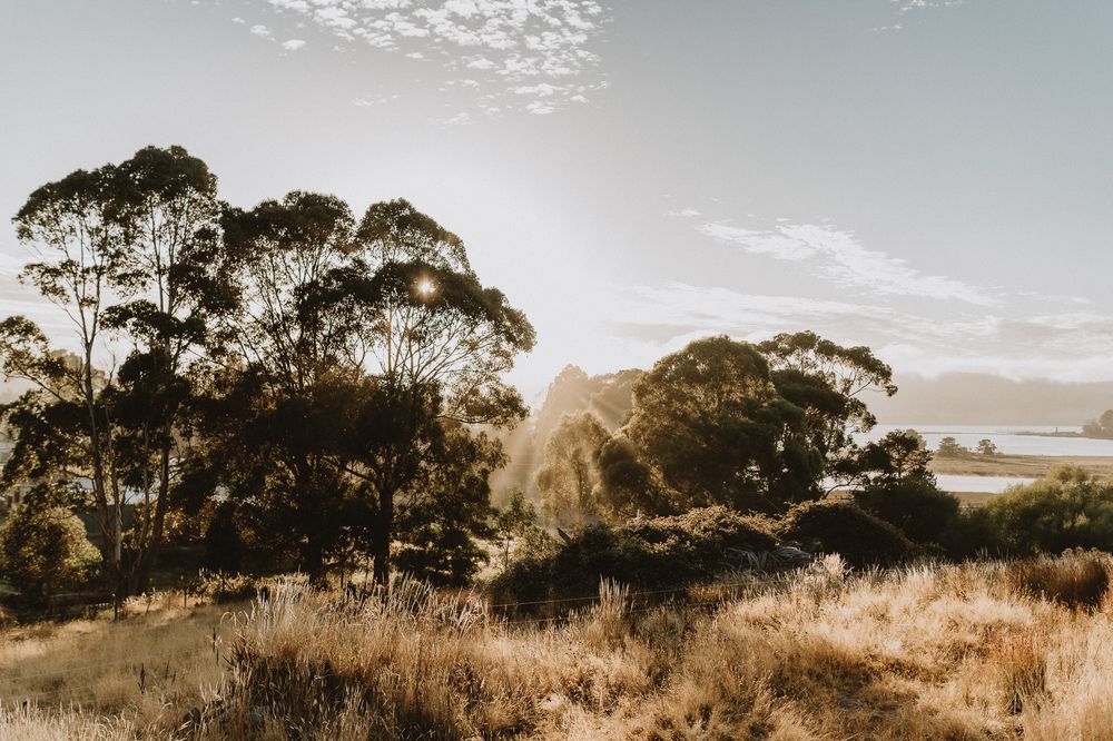 huon valley air bnb photographer joss jensen photogaphy