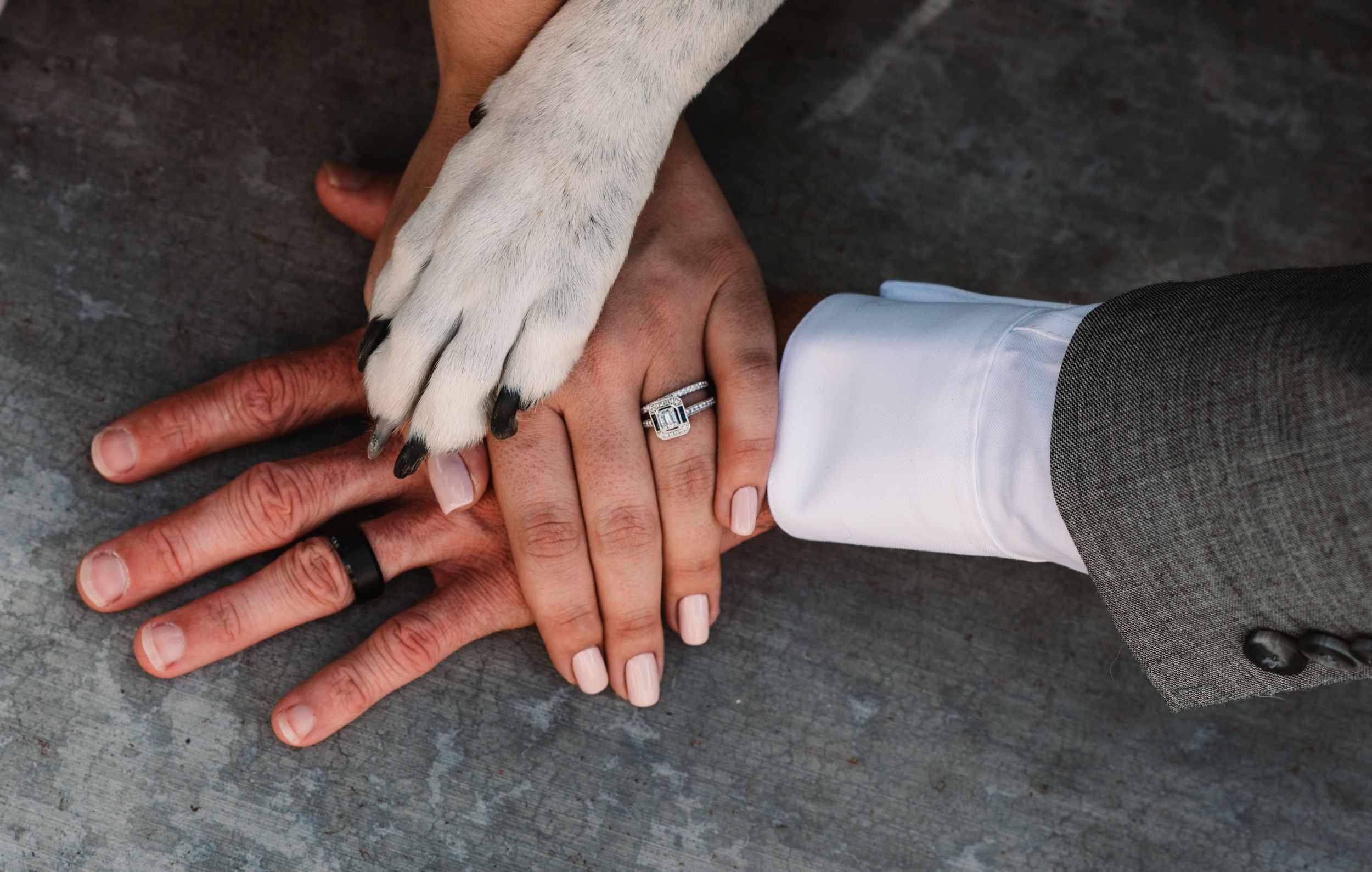 Courthouse elopement with dog