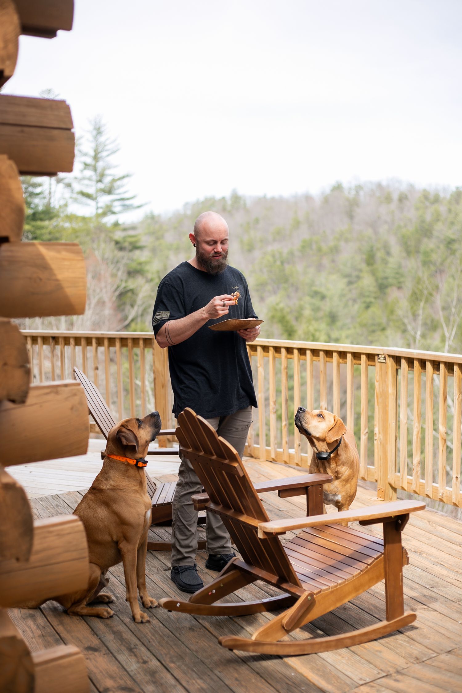 Two dogs sitting attentively on a wooden deck beside a rocking chair while someone checks their phone at a log cabin.
