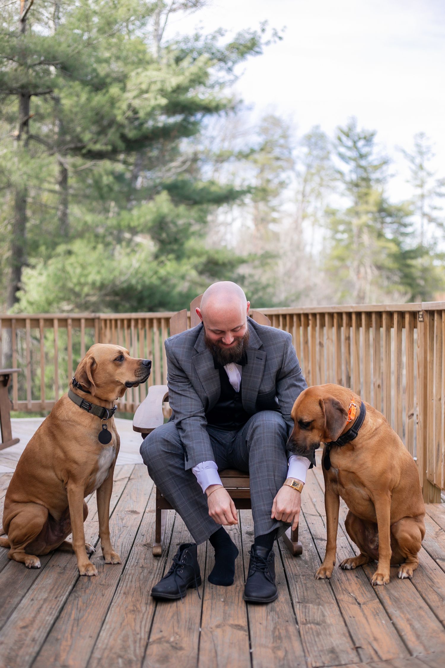 Groom in grey suit sitting with two brown dogs on wooden deck surrounded by pine trees.