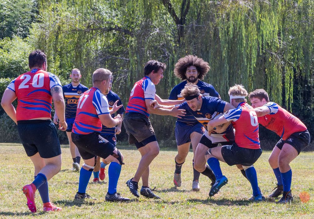 Rugby players compete in an intense tackle and scrum during an outdoor match on a sunny day.