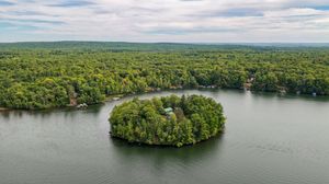 Aerial view of a lush tree-covered island surrounded by calm lake waters with dense forest in the background.