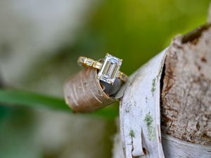 Gold engagement ring with emerald-cut diamond solitaire displayed on natural wood bark with green foliage background.