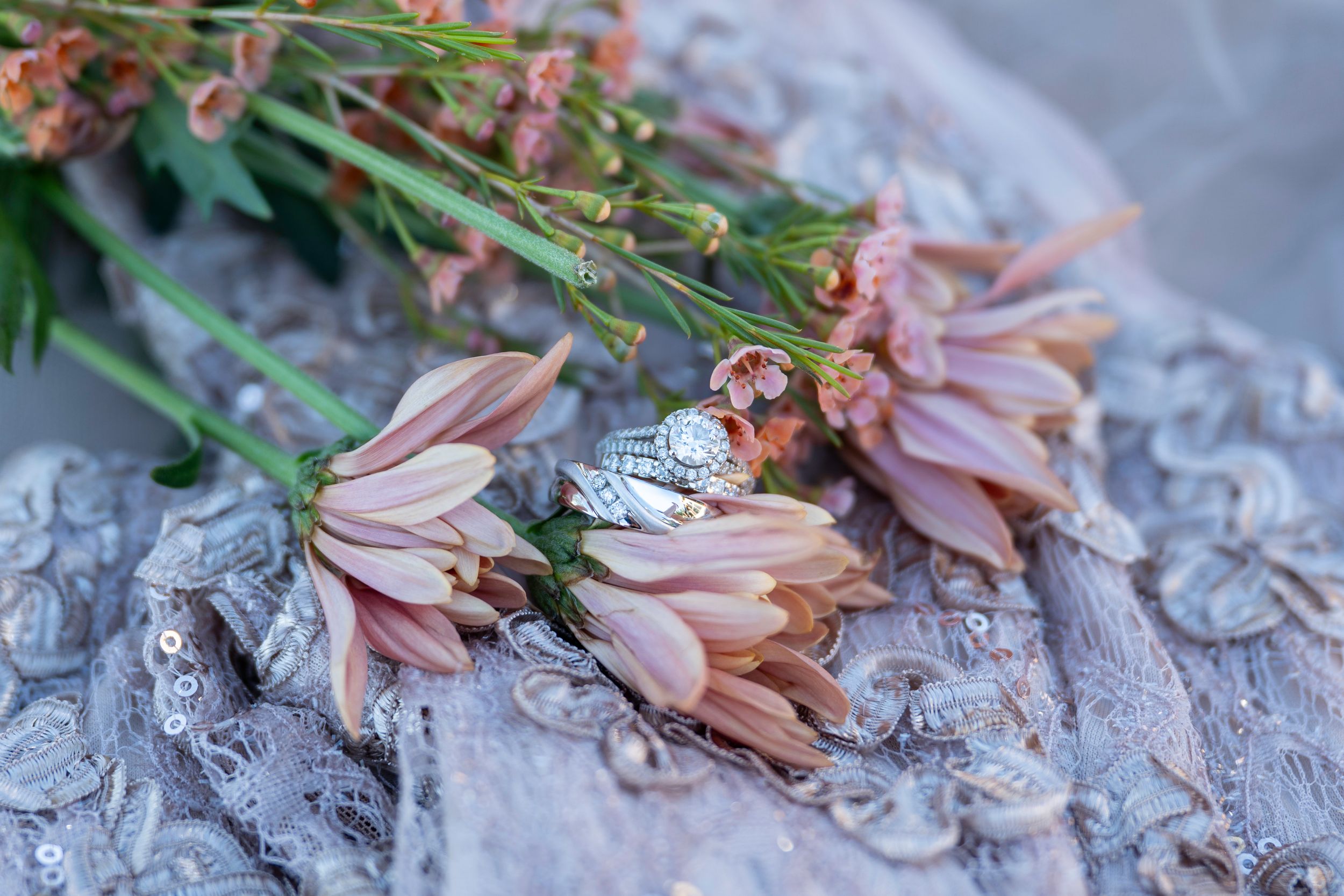 Showcasing your day in the most beautiful way