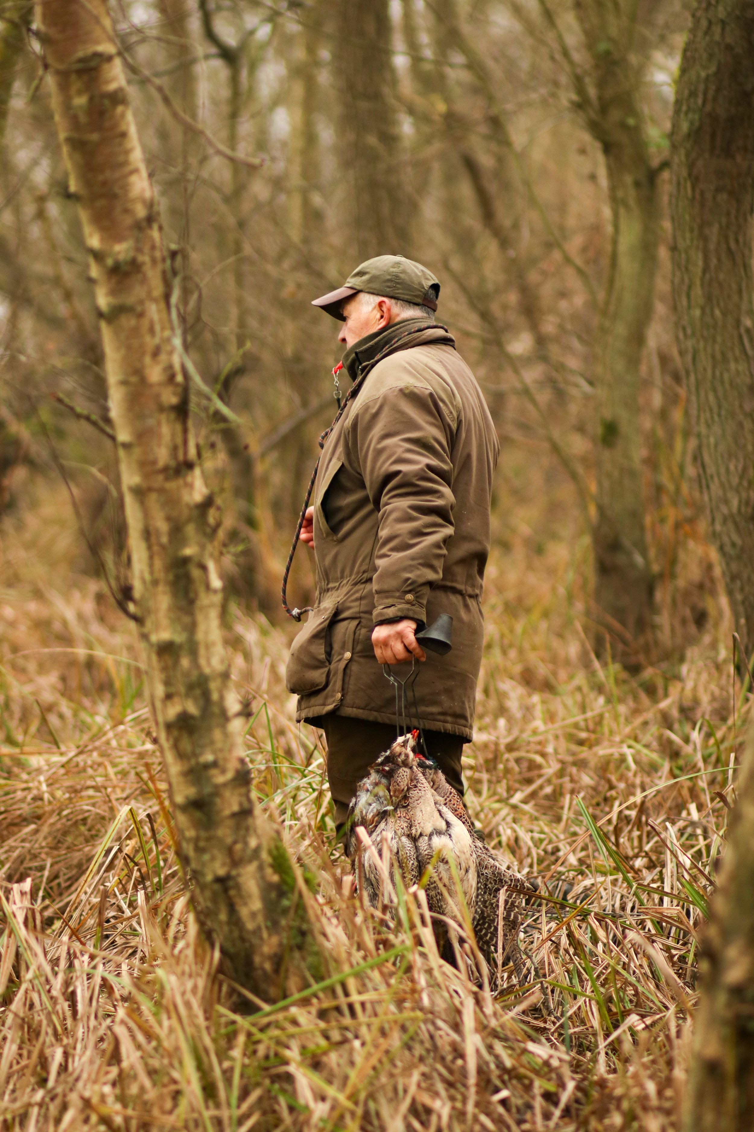 A hunter in olive jacket and cap carries a pheasant through a woodland forest.
