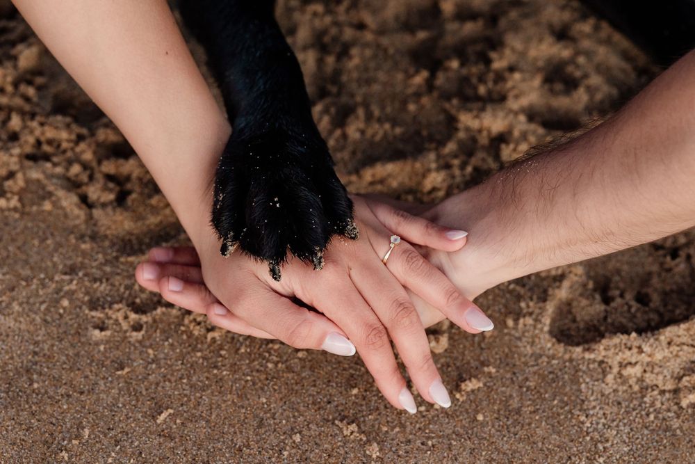 A series of hands planting seeds in rich brown soil, showing the step-by-step process of gardening.