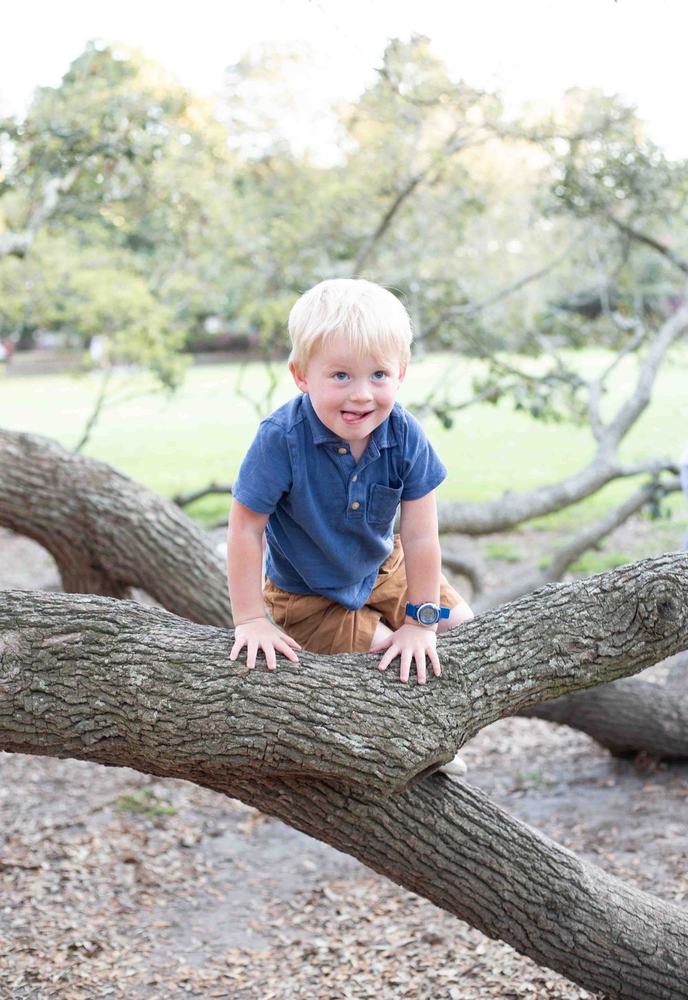 Charleston family photographer