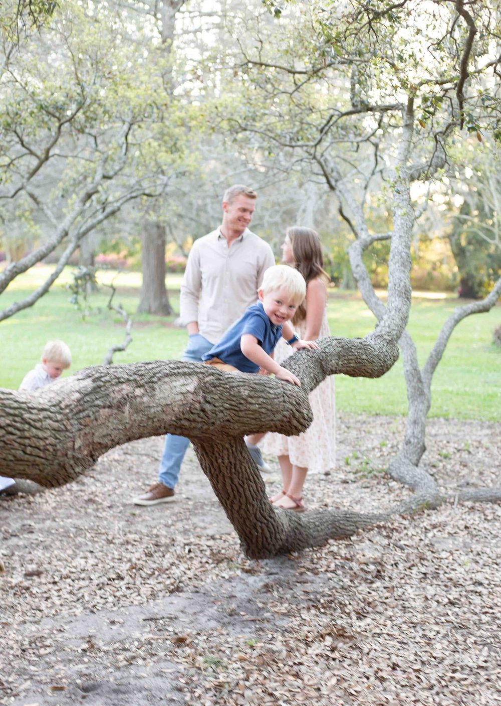 Charleston family photographer
