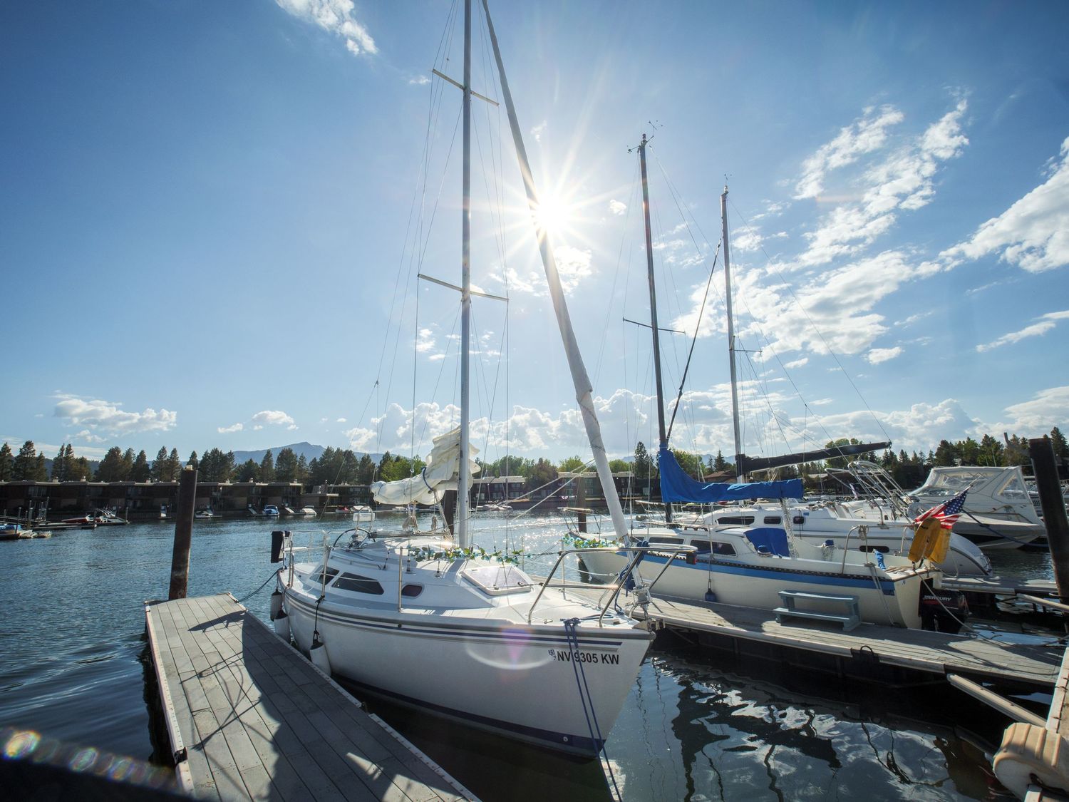 Sailboats docked at a sunny marina with blue skies, clouds, and lush green trees in the background.