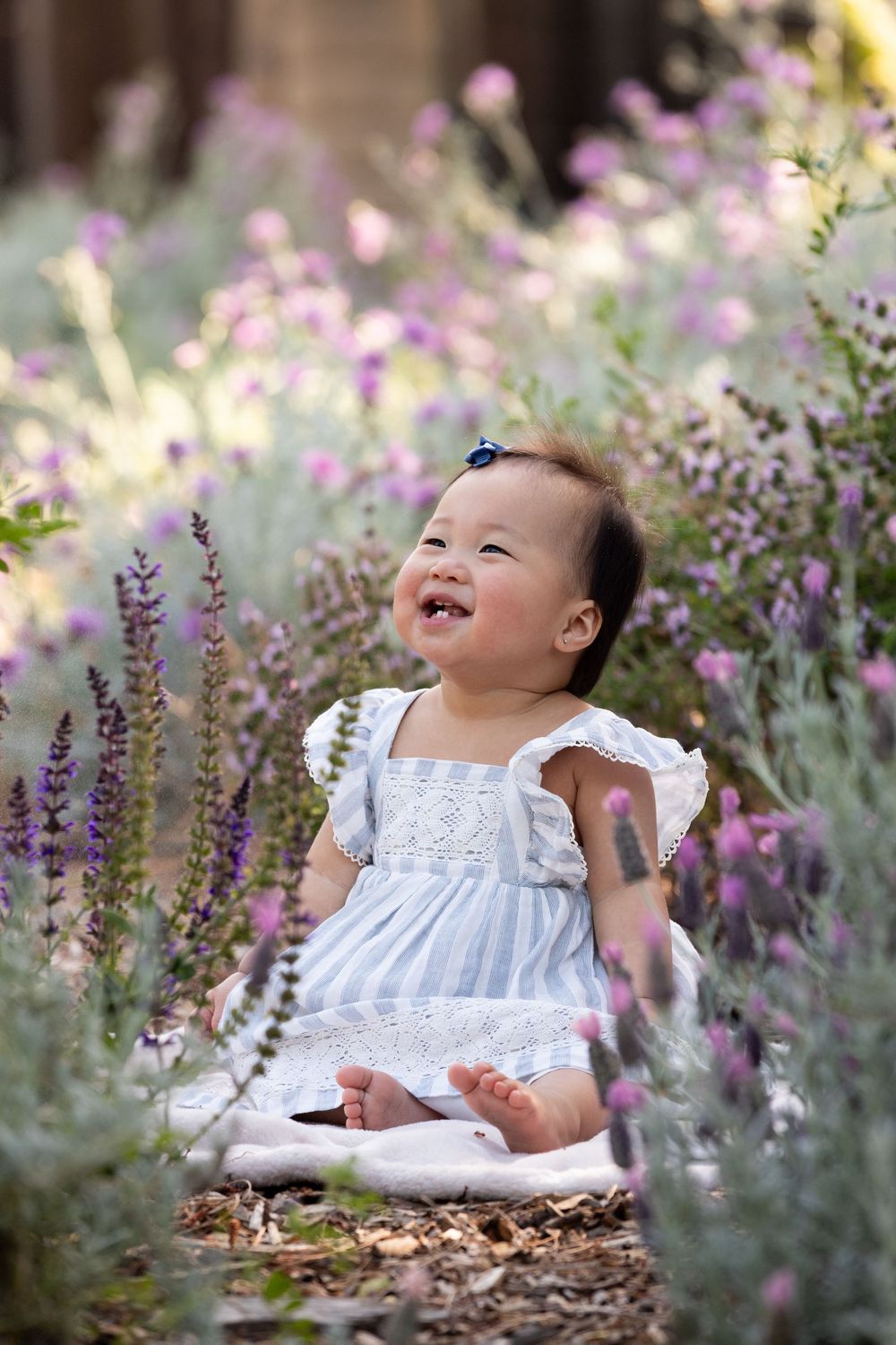 A baby in a white dress sits and laughs joyfully among blooming purple lavender flowers in a garden setting.