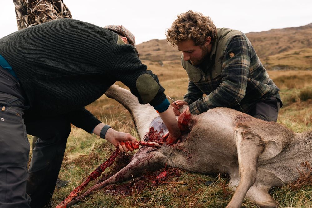 Hunters field dress a harvested deer in rugged mountain terrain during hunting season.