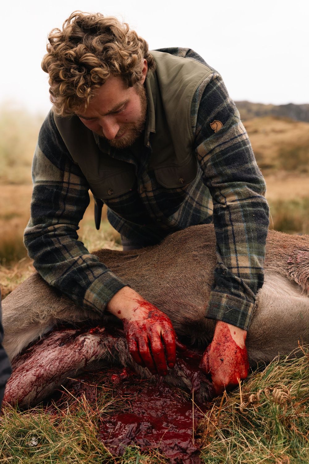 Hunter field dressing a freshly harvested deer on grassy terrain.