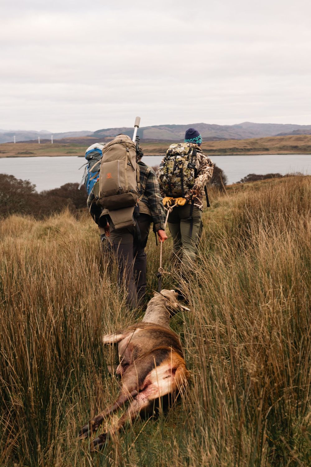 Hunters carrying heavy backpacks trek through tall grass with their harvested deer in rugged mountainous terrain.