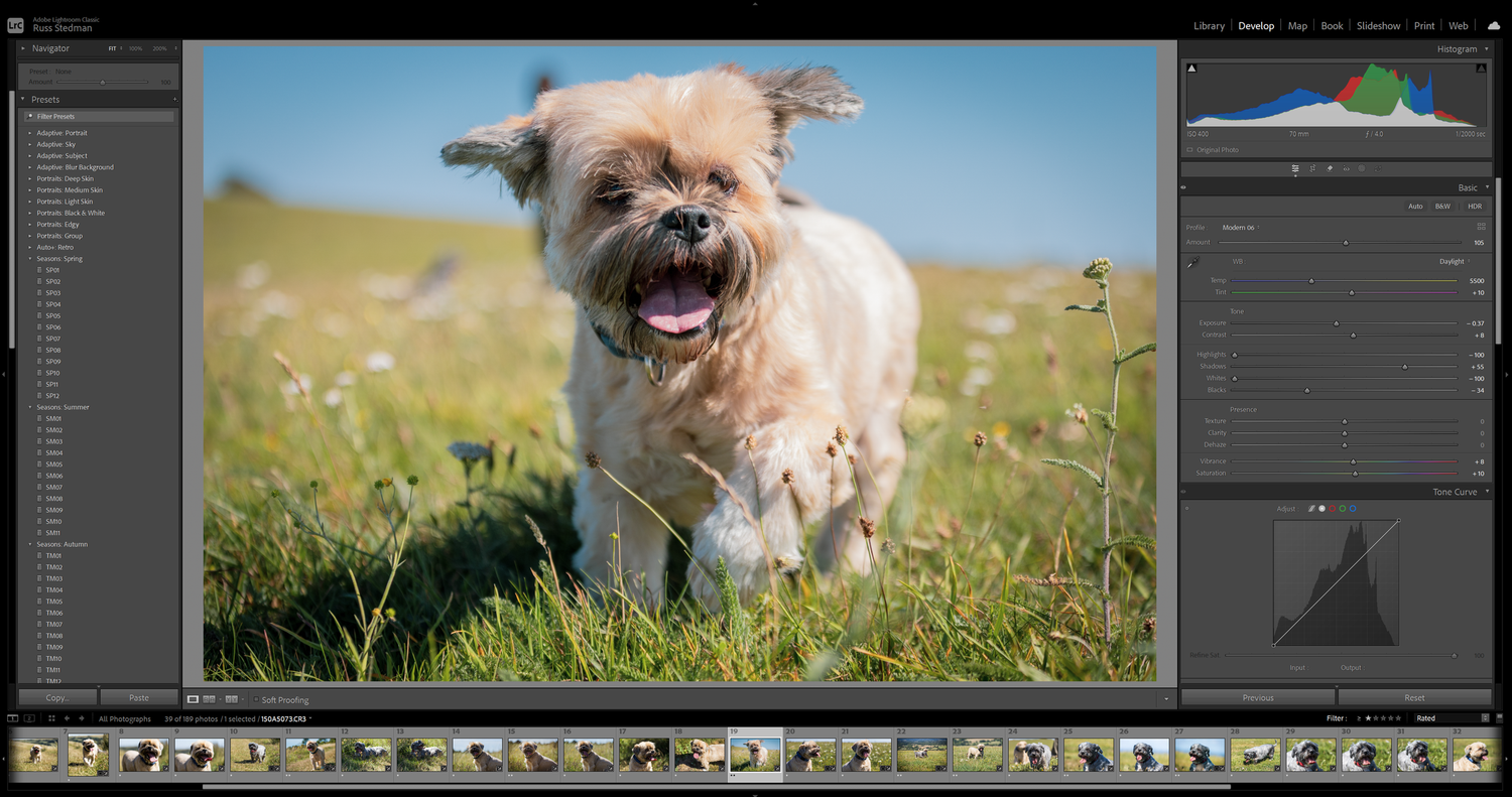Beautiful Pet Portraits photo editing Adobe Lightroom