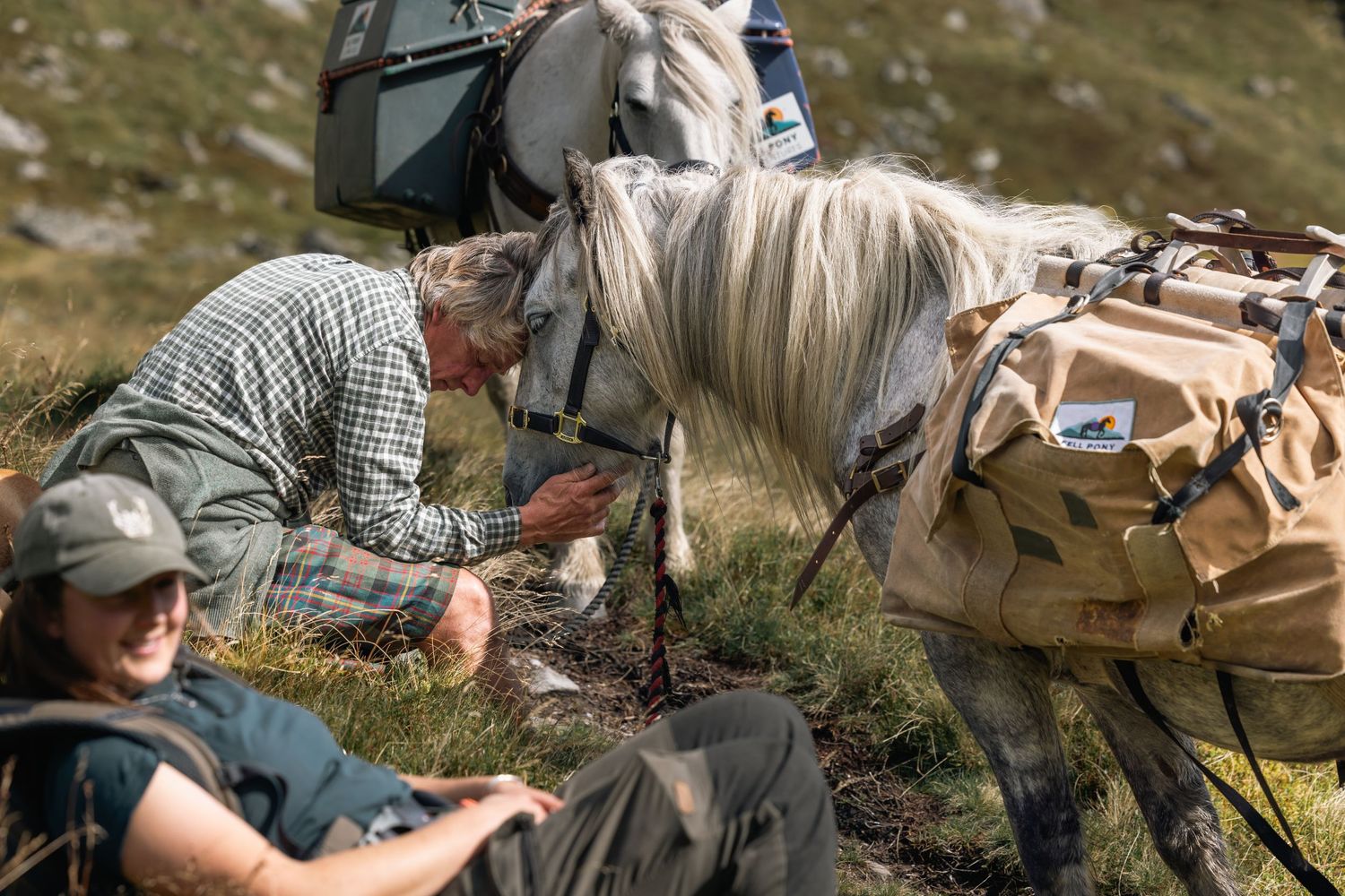 Travelers and a white horse taking a break during a mountain trek with camping gear.