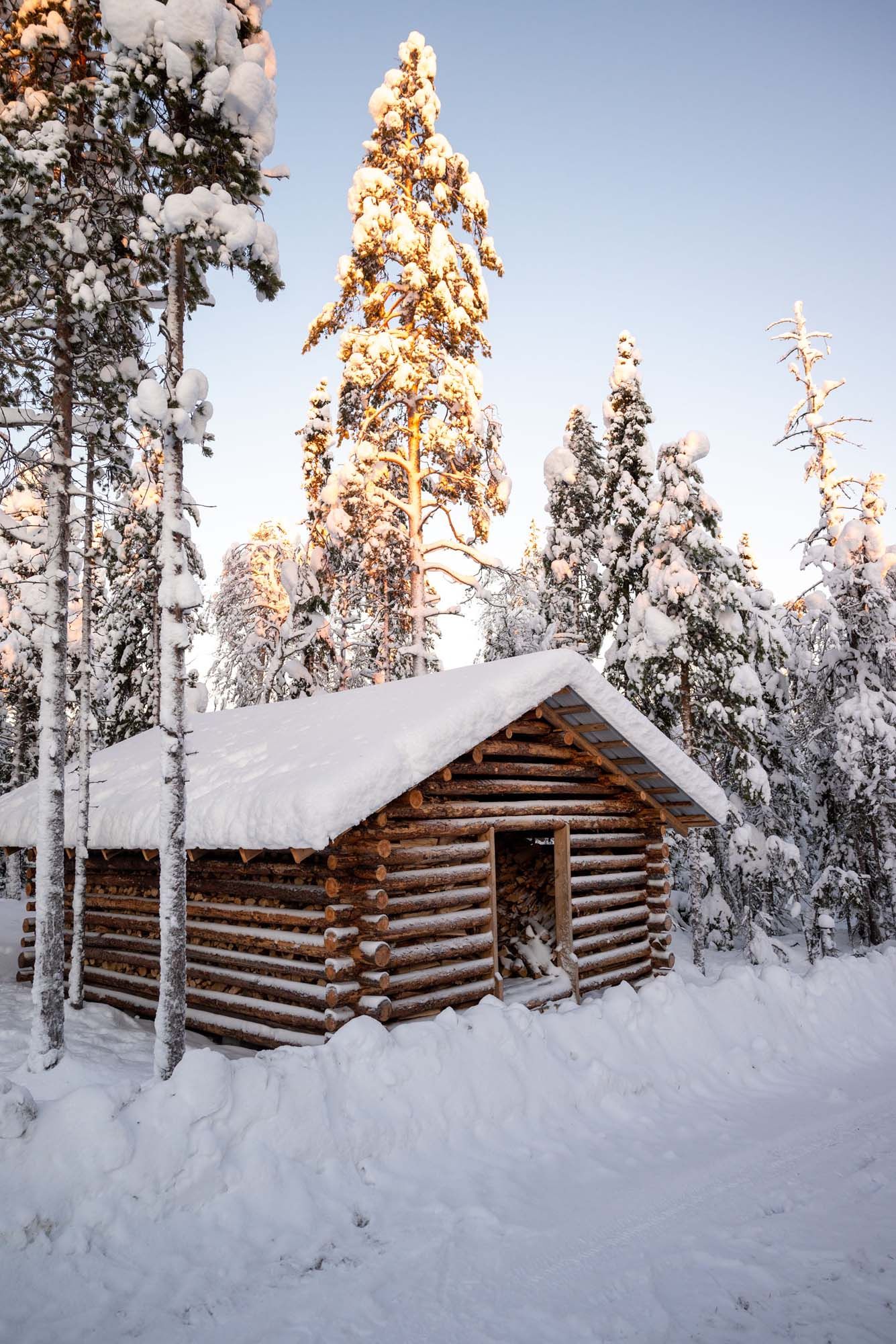 Snow-covered rustic log cabin nestled among frost-covered pine trees in a winter forest at sunset.