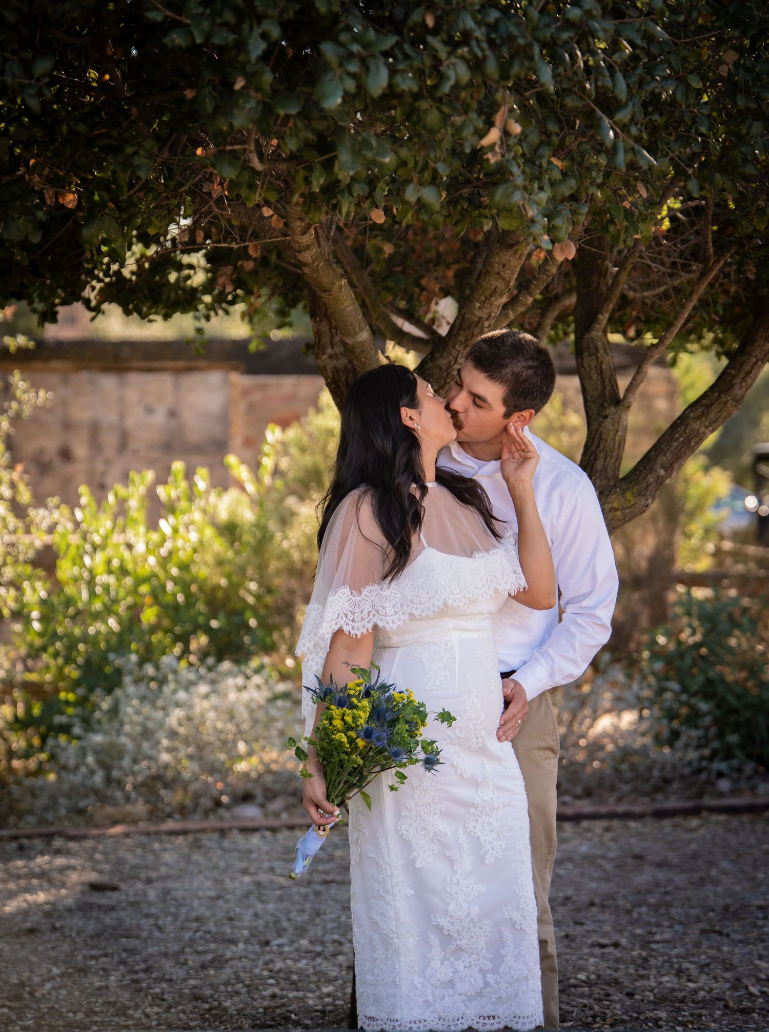 Bride and groom sharing a kiss under a tree with lush greenery during outdoor wedding photography session.