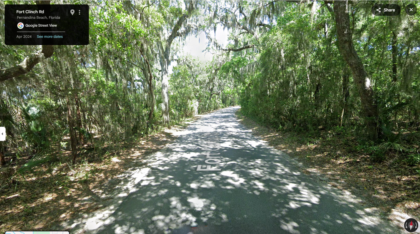 A canopy of moss-draped oak trees arches over a shaded road in a lush Southern forest.