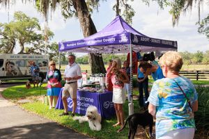 People gather under purple tents and oak trees at an outdoor community event.